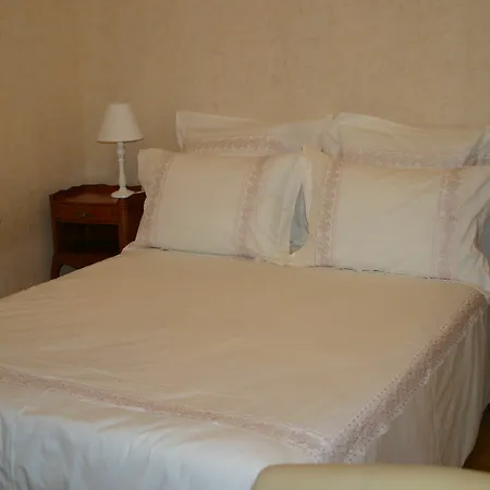 La Touraine Romantique Basilique Plumereau Appartement Tours