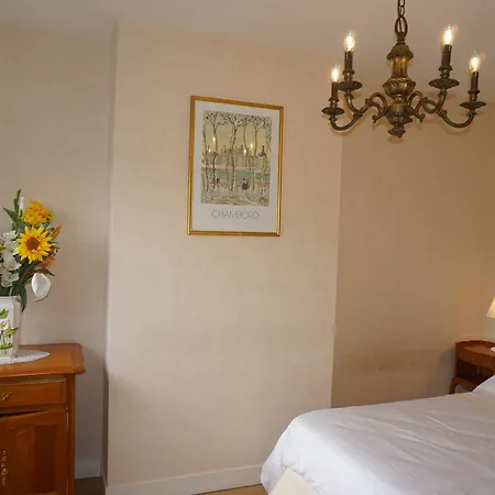 La Touraine Romantique Basilique Plumereau Appartement Tours