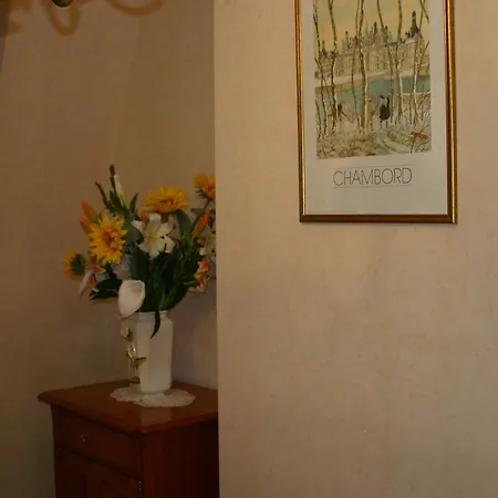La Touraine Romantique Basilique Plumereau *